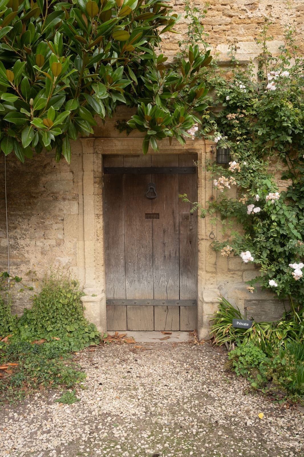Façade avec plante grimpante