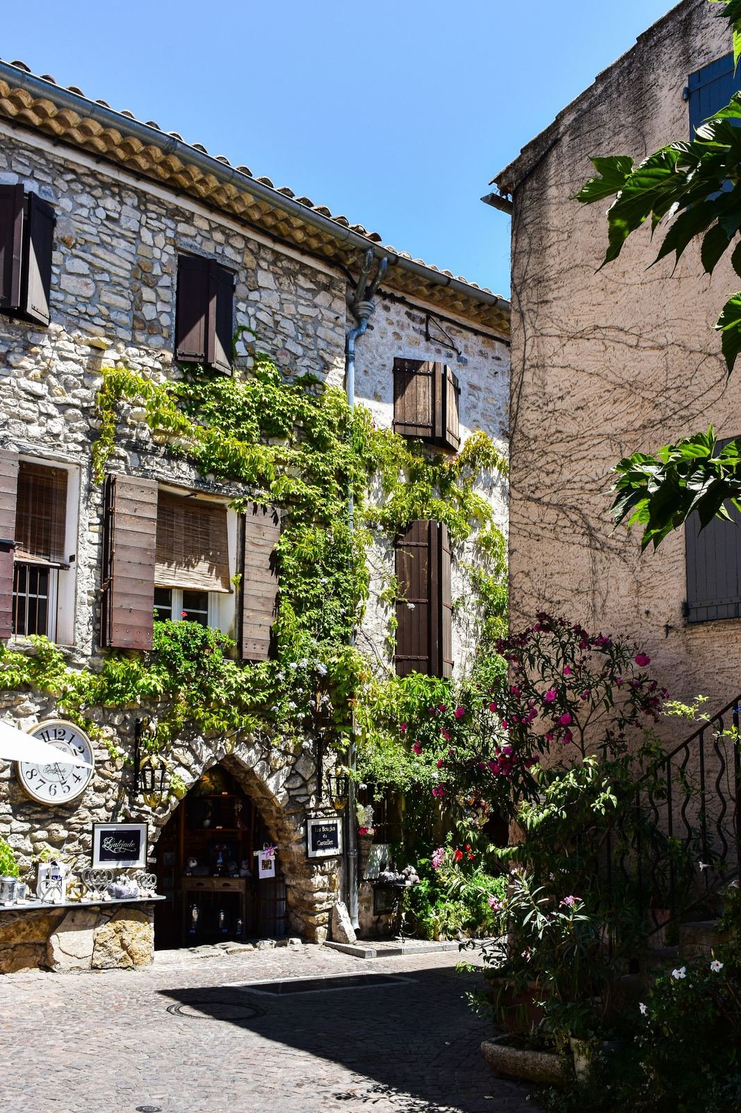 Façade habillée de vigne vierge