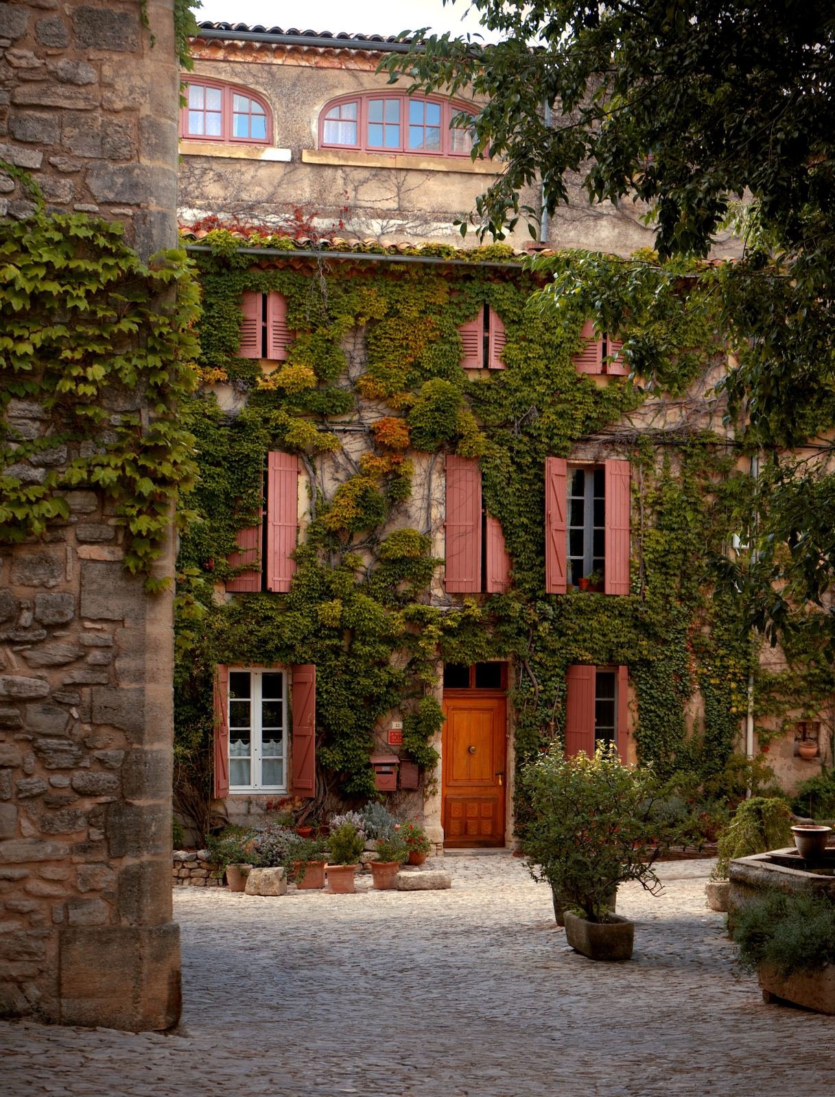 Façade en pierre entièrement habillée de vigne vierge