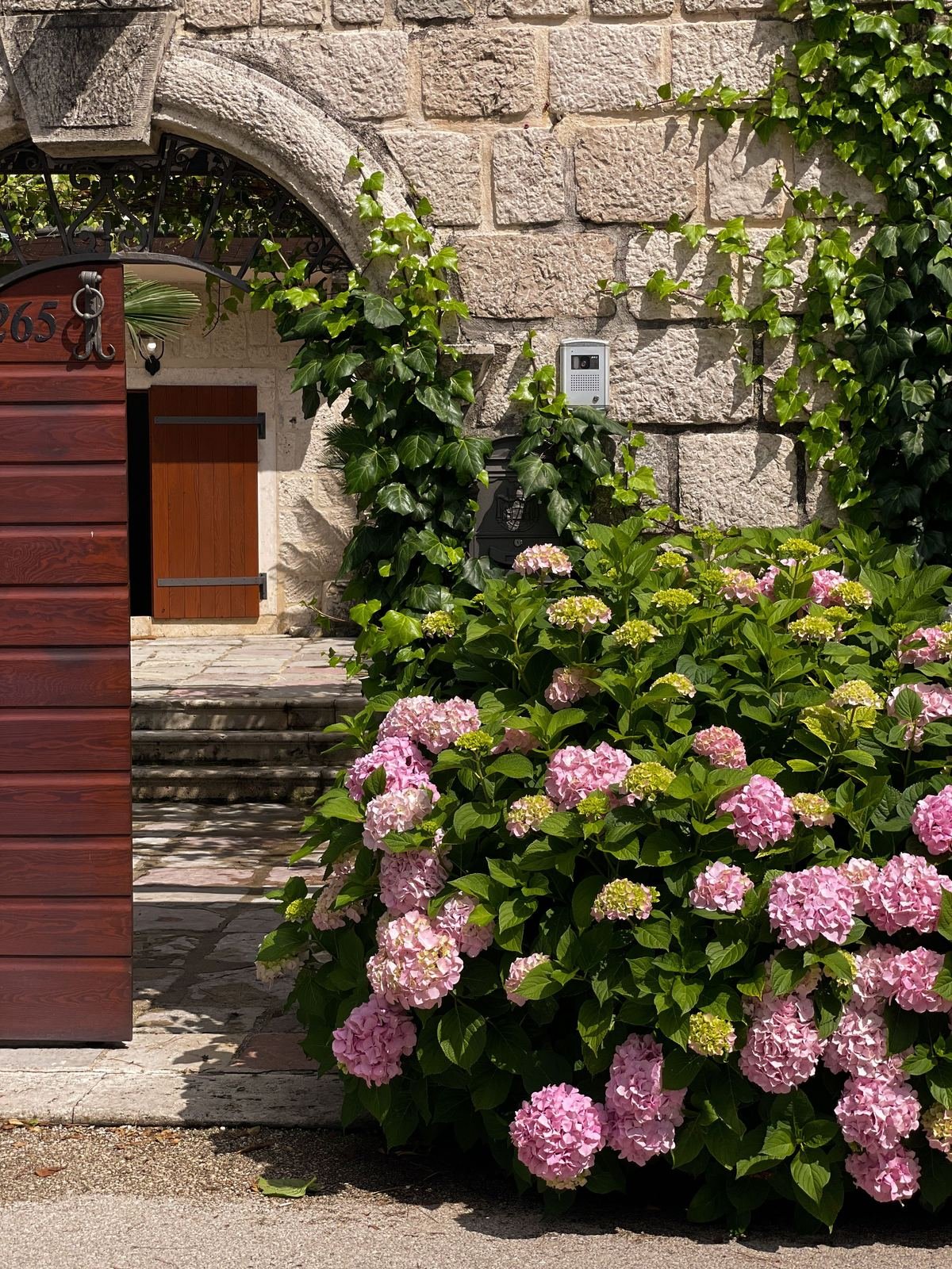 Habillage végétal sur mesure d'une façade